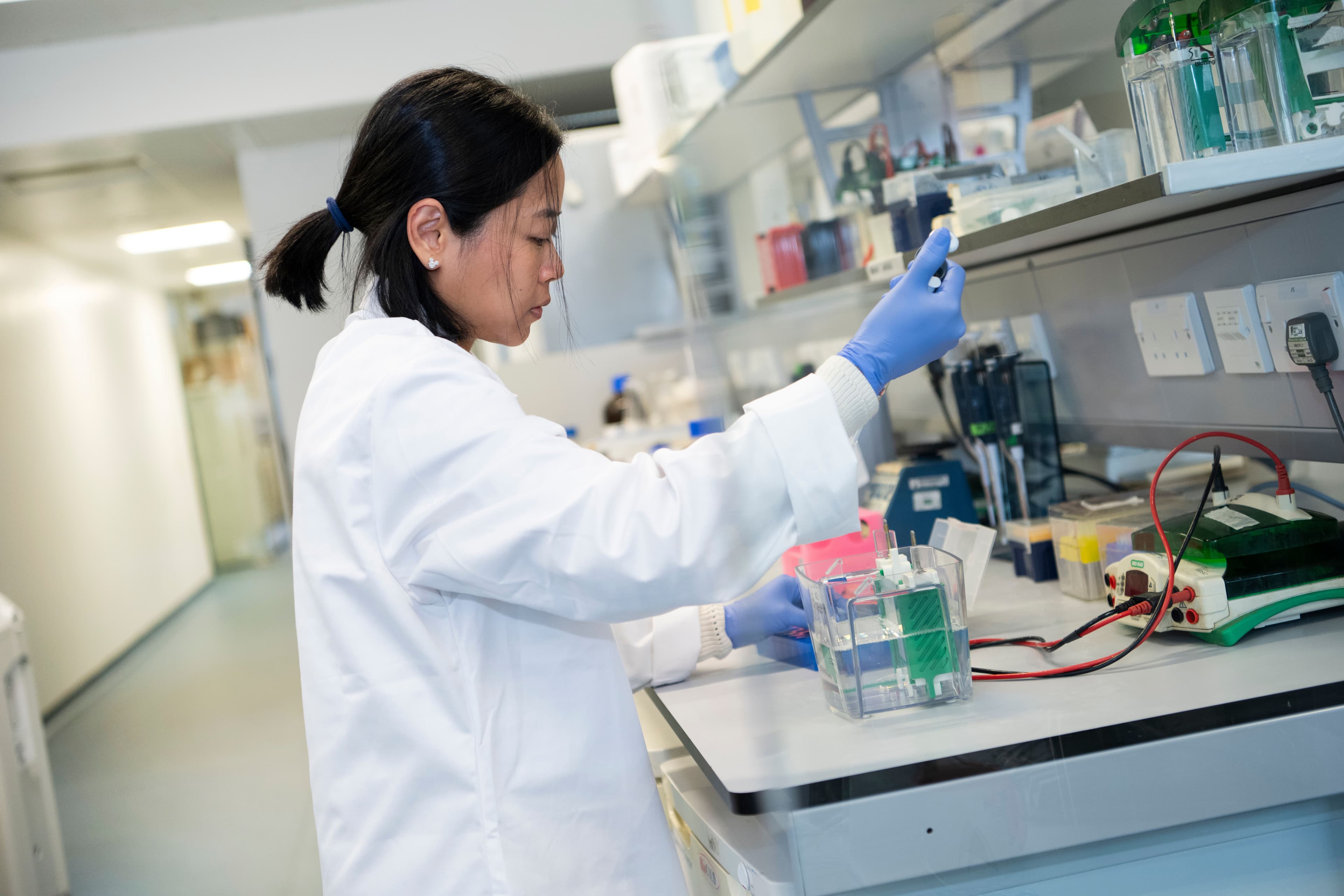 A female scientist in a white lab coat and blue gloves is performing her research in the lab.